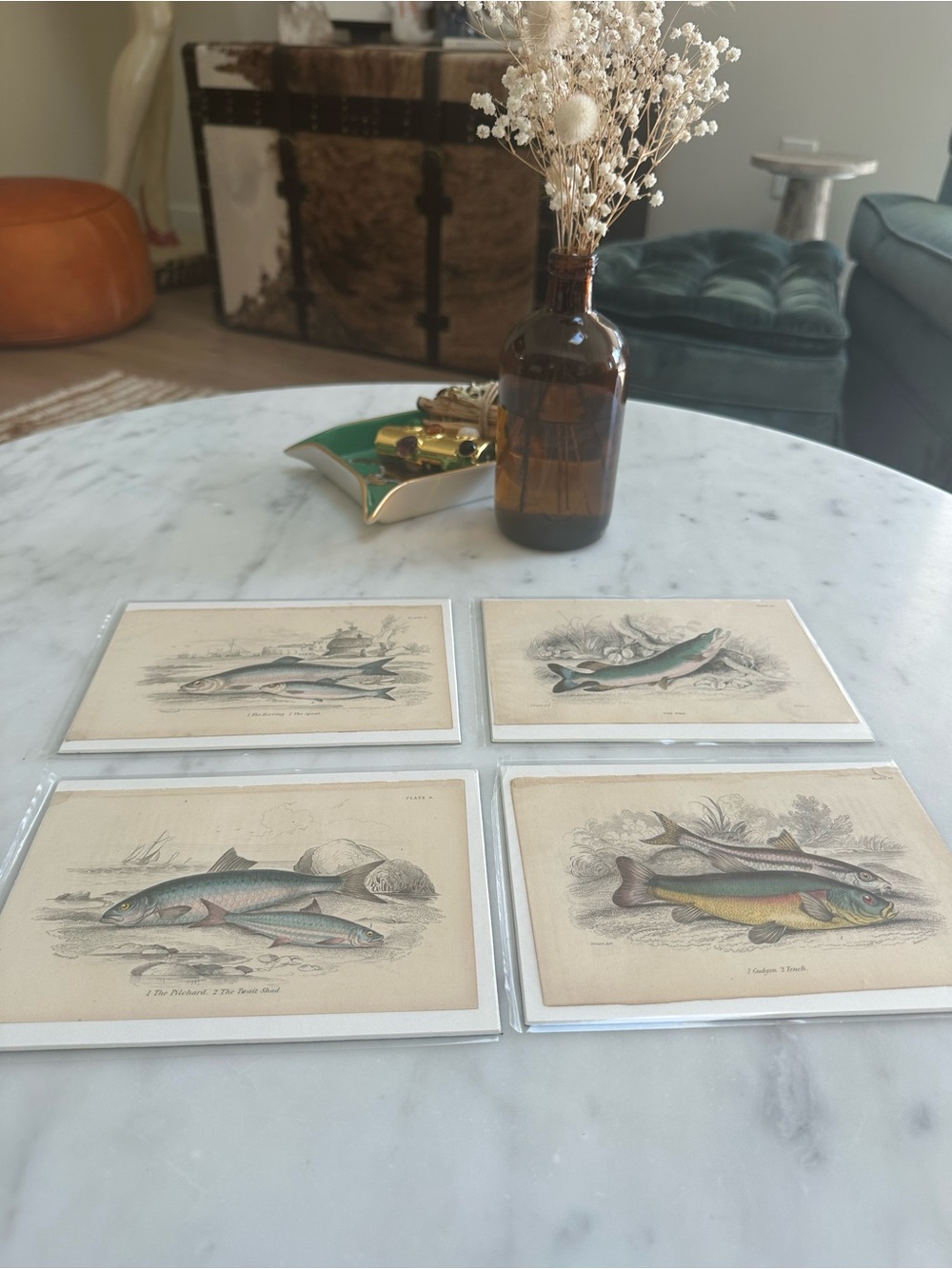 1800s Jardine’s The Naturalist’s Library Chromolithographs Rare Fish